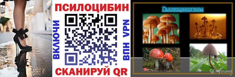 Галлюциногенные грибы мицелий  магазин продажи   Могоча 